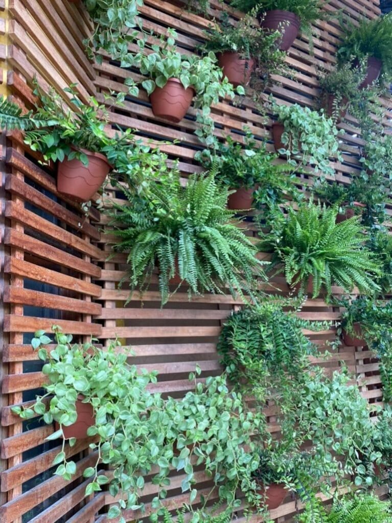 jardim vertical