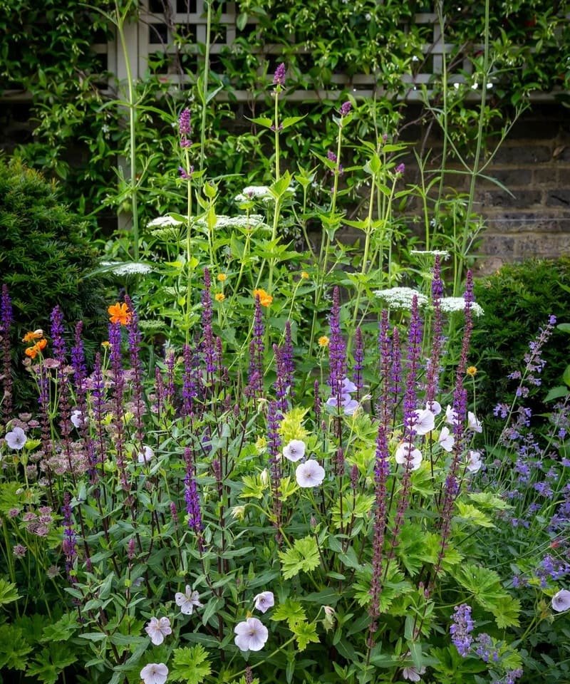 jardim bonito e acessível