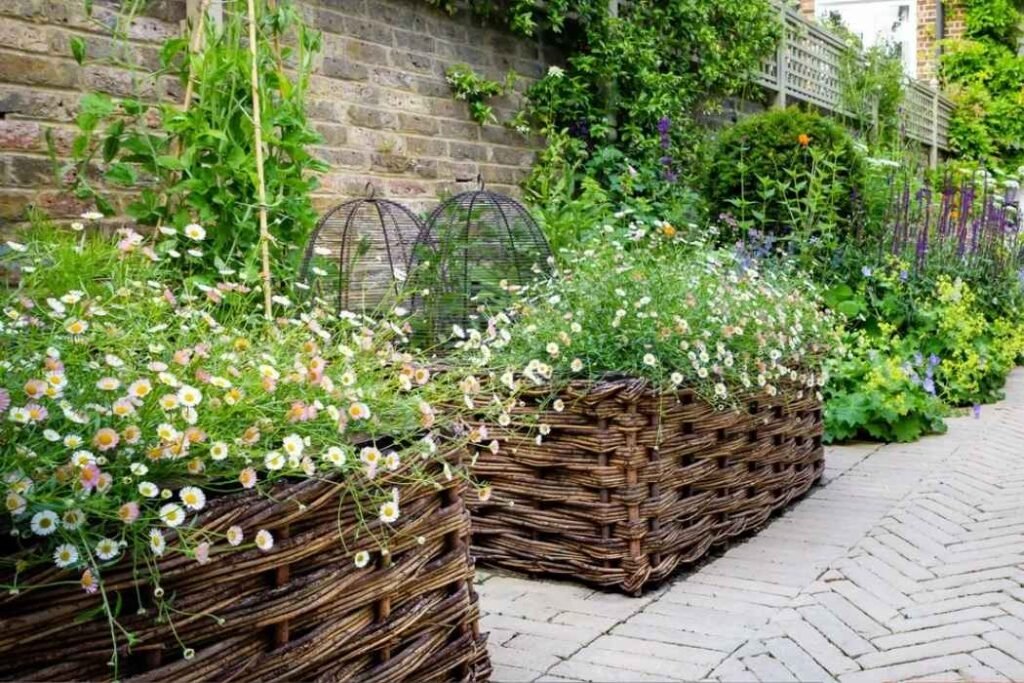 Jardim pequeno e harmonioso